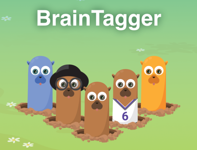 BrainTagger cognitive-assessment game