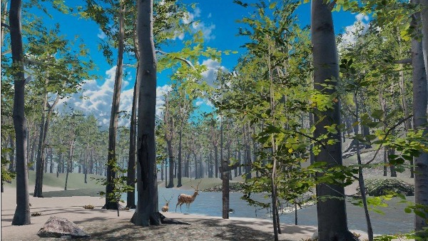 MindGrove VR therapeutic forest environment